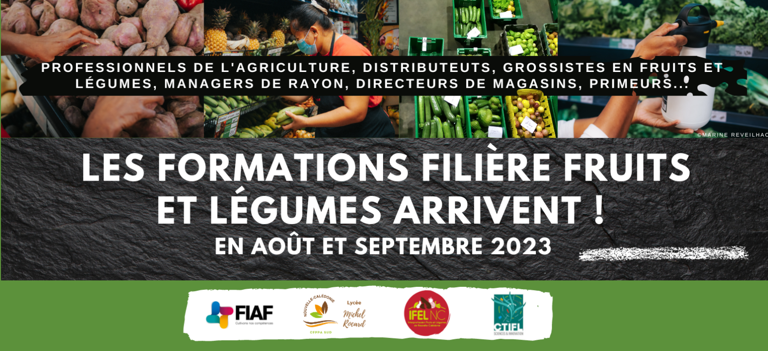 Les formations filière fruits et légumes reviennent en août et septembre 2023 ! 🍅🍉🥑🍠🍌